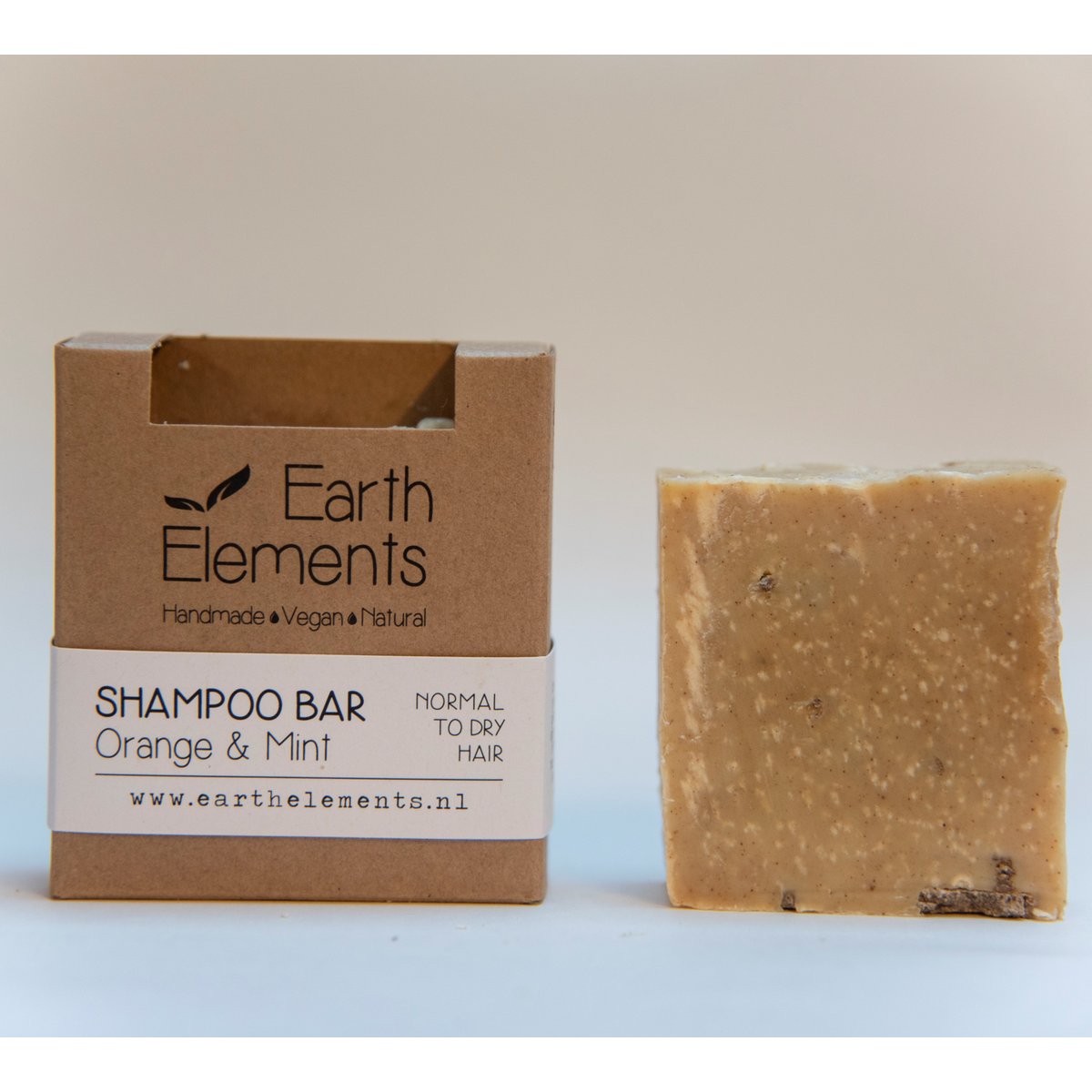 Earth elements shampoo orange mint